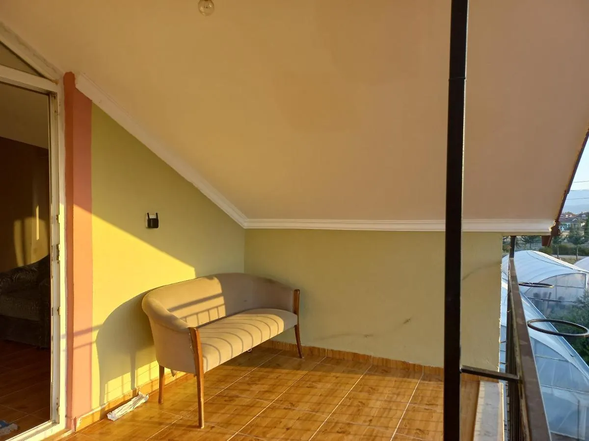 Bed & Breakfast Sunshine Guest House With Terrace