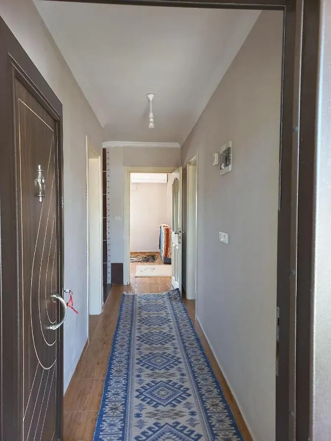 Sunshine Guest House With Terrace
